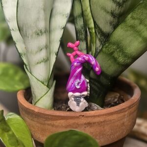 Purple and Green Potted Plant Decor